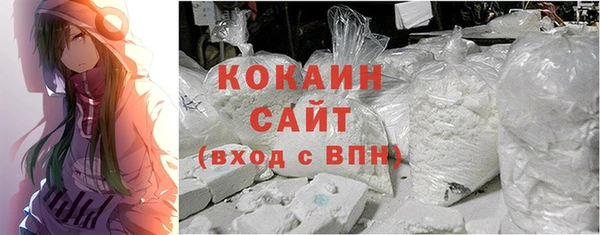 амф Касимов