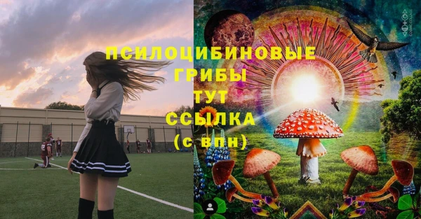 амф Касимов