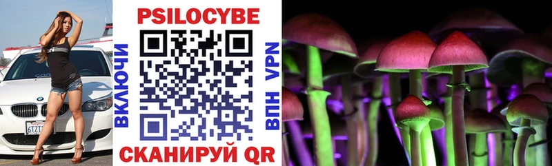 Купить  Выкса  Псилоцибиновые грибы Magic Shrooms 